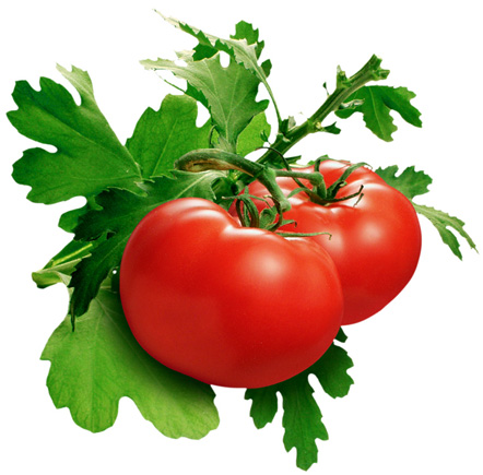 khasiat_buah_tomat